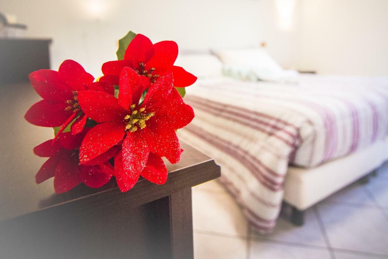 Adria Bella Locazione Turistica Bed & Breakfast ภายนอก รูปภาพ